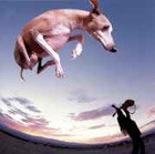 Paul Gilbert CD - Flying Dog